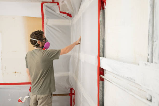 Best Air Quality Testing for Mold Spores  in Stanton, MI