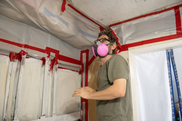 Stanton, MI Mold Removal Company
