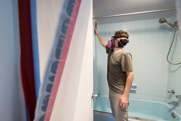 Best Dehumidification Services  in Stanton, MI