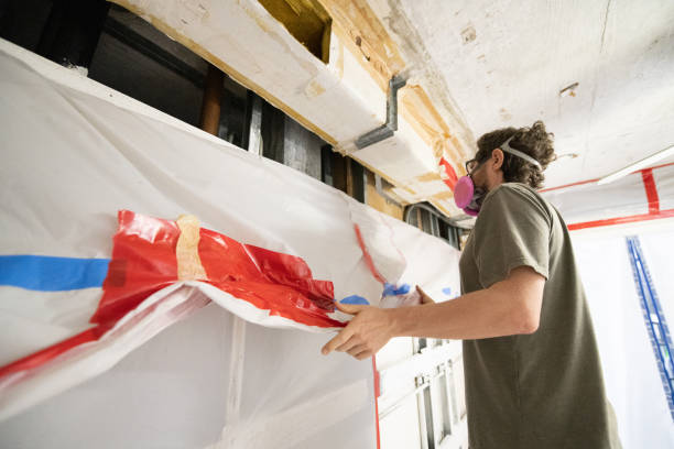 Best Post-Construction Mold Inspection  in Stanton, MI