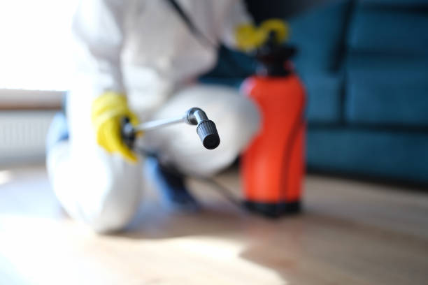 Best Commercial Mold Inspection  in Stanton, MI