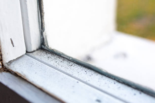 Best Indoor Air Quality Assessment  in Stanton, MI